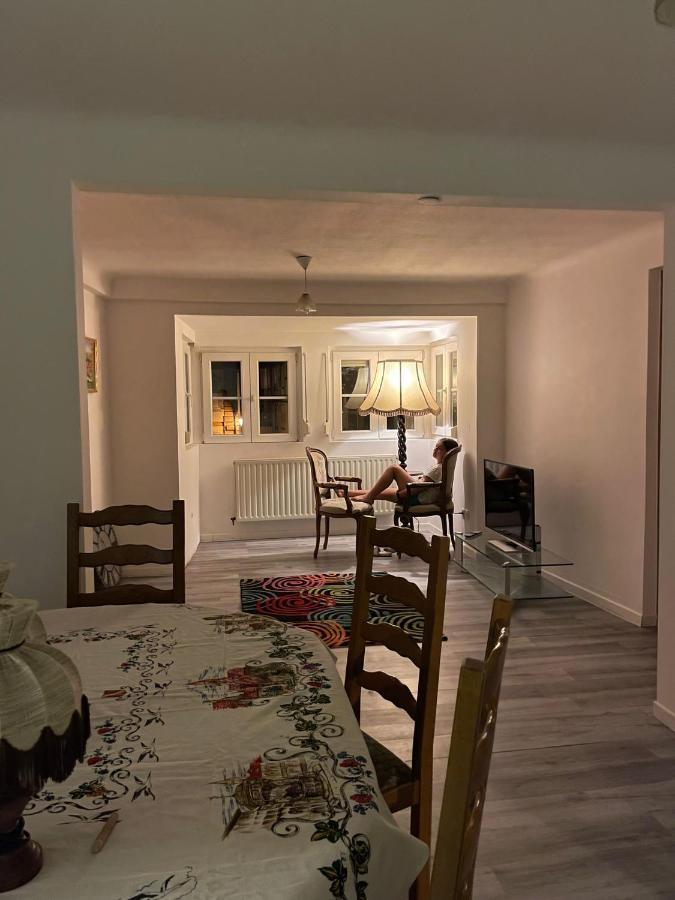 Au Bon Vieux Port Maison De Vacances Alsacienne A 10Mn De Ribeauville, Riquewihr Et Kaysersberg Селеста Екстер'єр фото