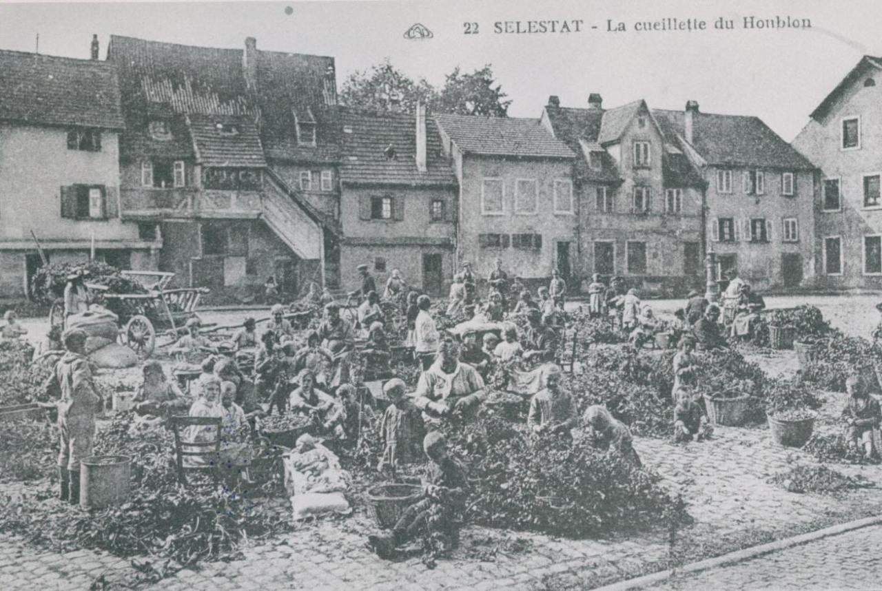 Au Bon Vieux Port Maison De Vacances Alsacienne A 10Mn De Ribeauville, Riquewihr Et Kaysersberg Селеста Екстер'єр фото