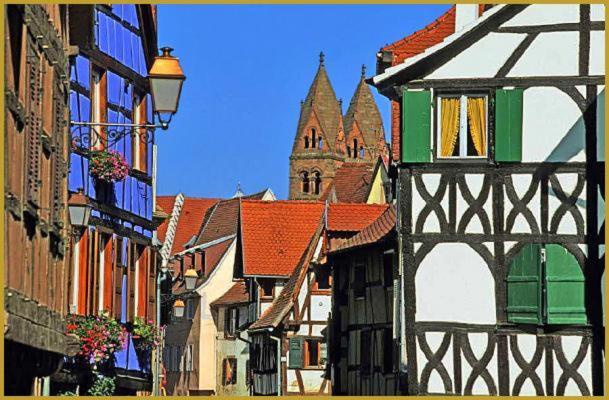 Au Bon Vieux Port Maison De Vacances Alsacienne A 10Mn De Ribeauville, Riquewihr Et Kaysersberg Селеста Екстер'єр фото